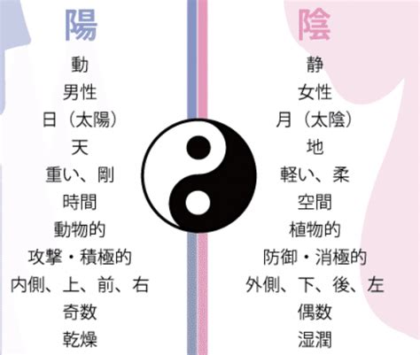 陰陽論 男女|陰陽